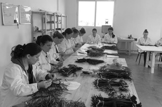 handmade weavings